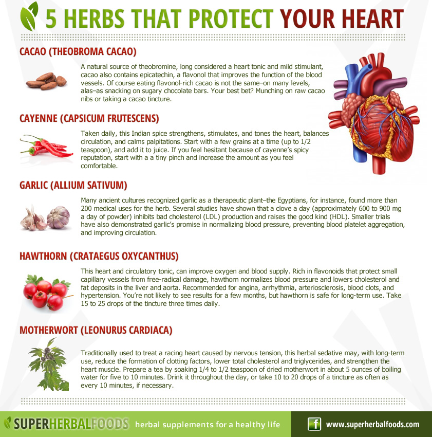 5 Herbs that protect your heart