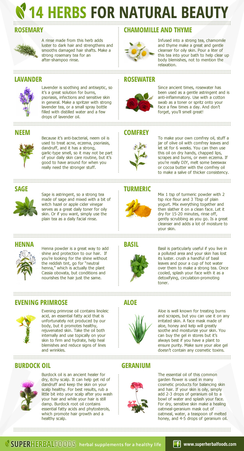 14 Herbs for Natural beauty