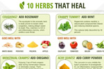Super Herbal Foods