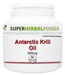 Antarctic Krill Oil