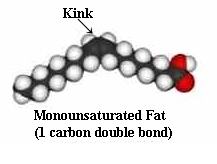 Mono Fat