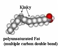 Mono Fat
