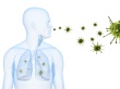 Immune System