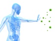 Immune System