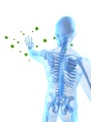 Immune System